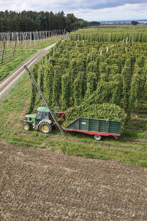 hopfentechnik_fotografie_drohne