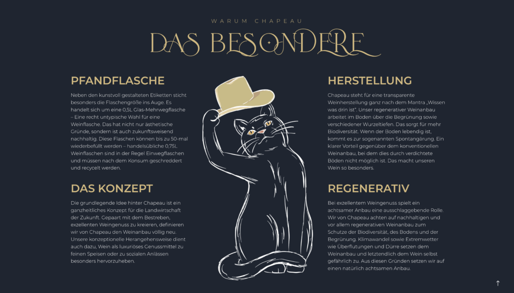 Illustration_Webshop_Chapeau